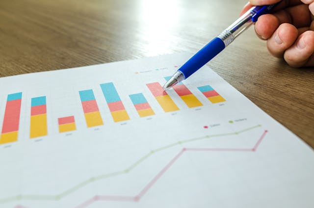 Website traffic and visit volume—chart showing traffic or analytics data